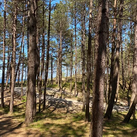Baltic Maritimo Pogorzelica (Gmina Rewal)